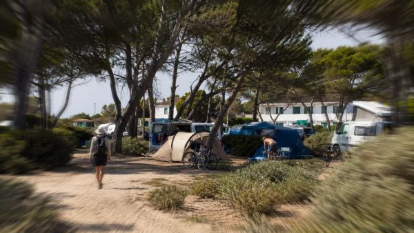 Choisir un emplacement pour camper sur l'île de Ré