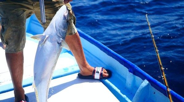 Profitez de la mer pendant votre voyage de camping !