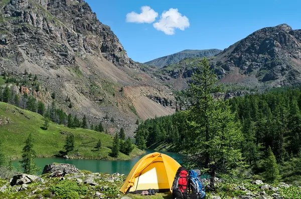 Explorer les meilleurs campings pour les activités sportives à Argelès